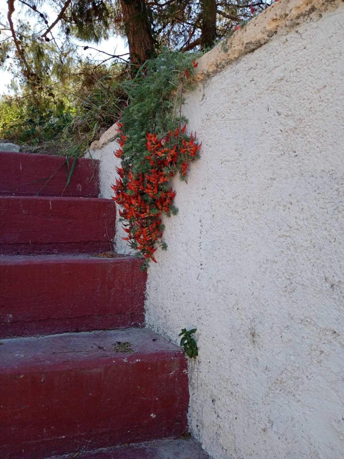 Villa Phyllia, Knossos, Crete 外观 照片