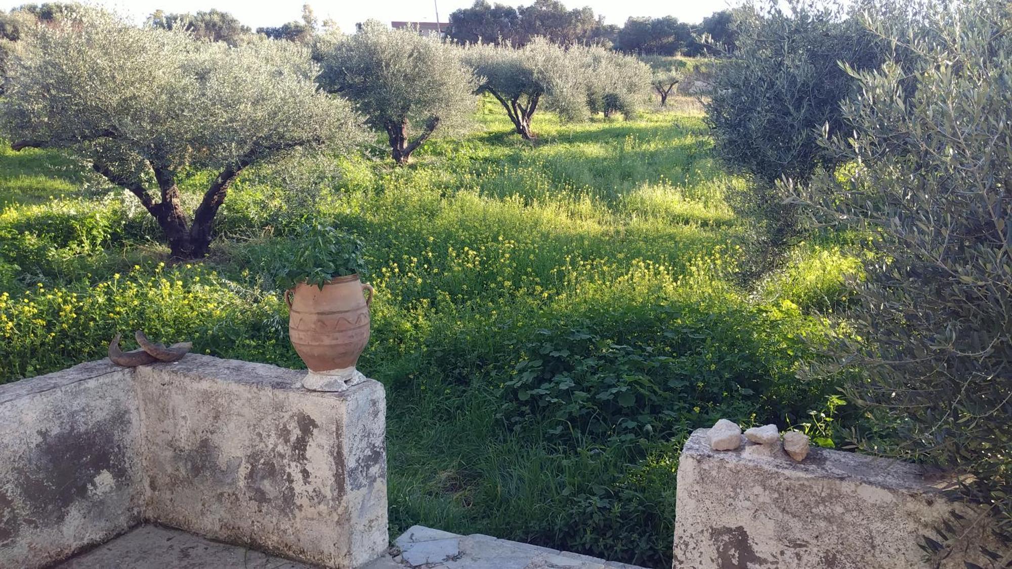 Villa Phyllia, Knossos, Crete 外观 照片